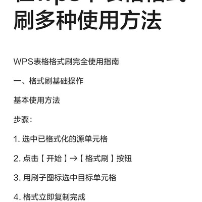 WPS表格格式刷使用指南