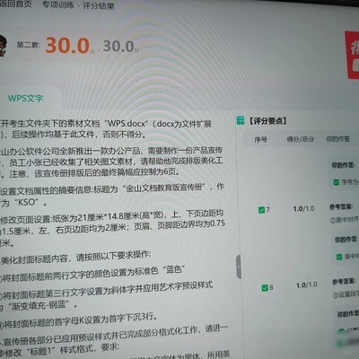 WPS考试第二套打卡