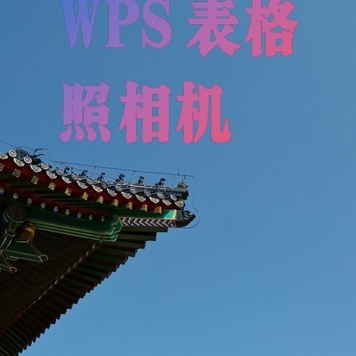 WPS照相机，动态图表神器
