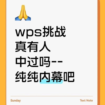 WPS挑战赛涉嫌内定