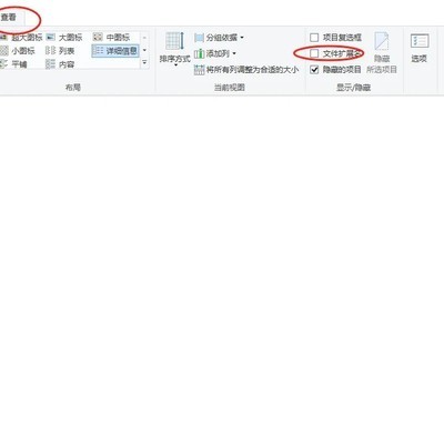 显示Excel文件后缀名
