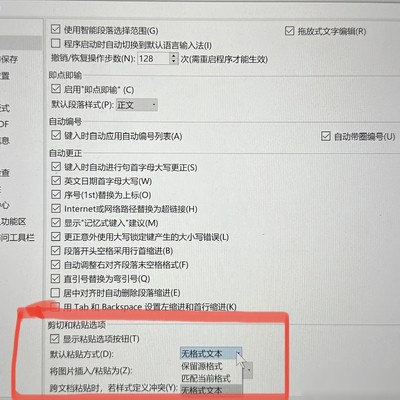 WPS Word设置默认粘贴为无格式文本