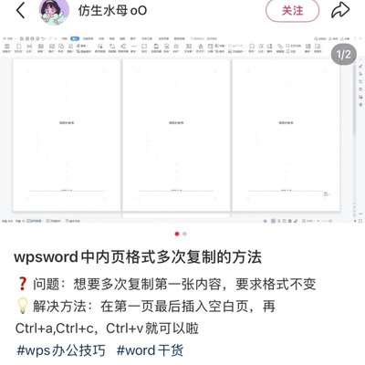 Word内页格式快速复制法