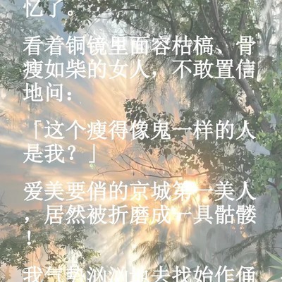 失忆王妃与摄政王的虐恋