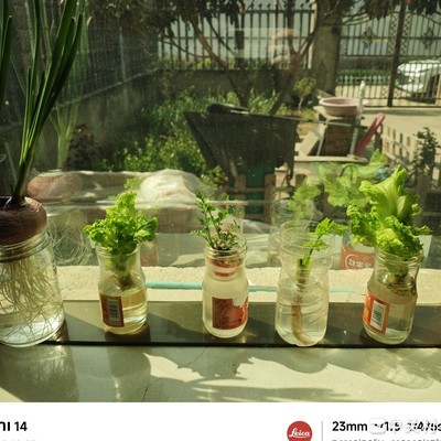 防斩杀线与中国社会生活