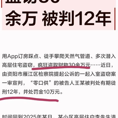 偷窃行为的法律判决
