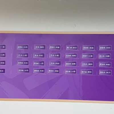 王者荣耀集训分组及教练人选爆料