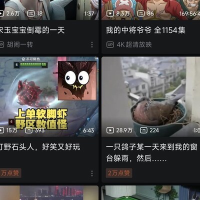 小破站，社会生活的百态窗口