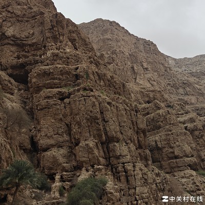 手机决赛圈，数码达人的终极选择