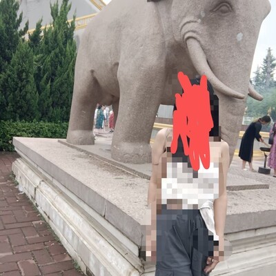 老哥帮忙分析社会生活问题