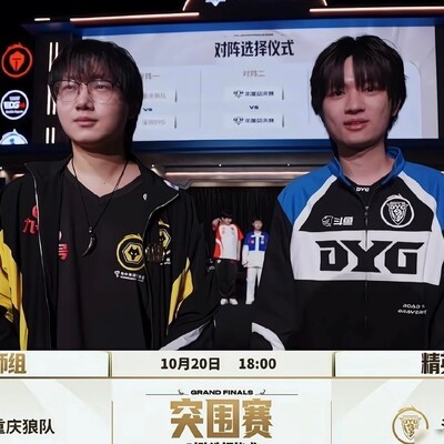 狼队迎战DYG突围赛