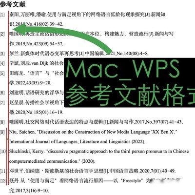 Mac版WPS参考文献格式兼容方案