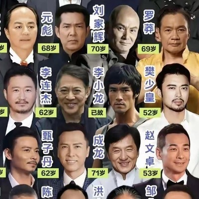 华人武打群星，半世纪功夫传奇