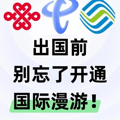 出国前必开国际漫游