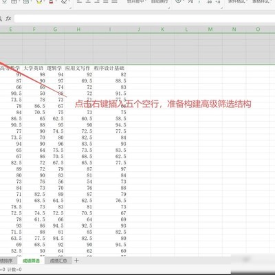WPS表格高级筛选操作指南