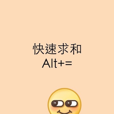 Excel求和快捷键Alt+=