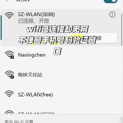 公共Wi-Fi连接无网解决