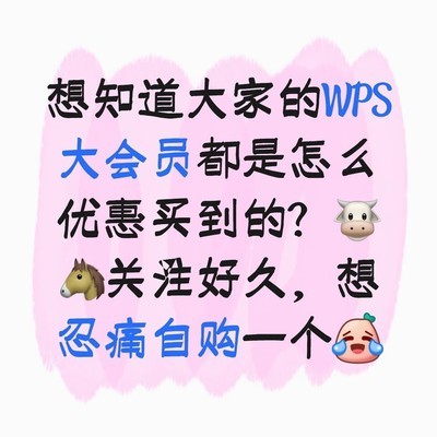 WPS大会员优惠购买攻略