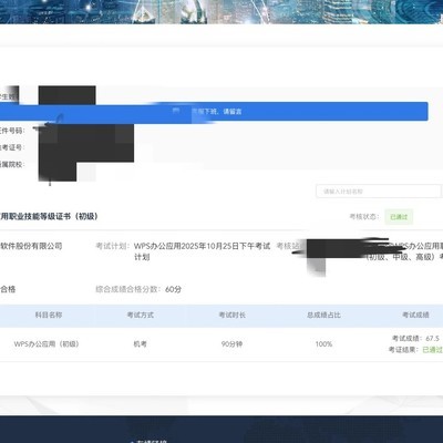 WPS 1+X证书查询问题