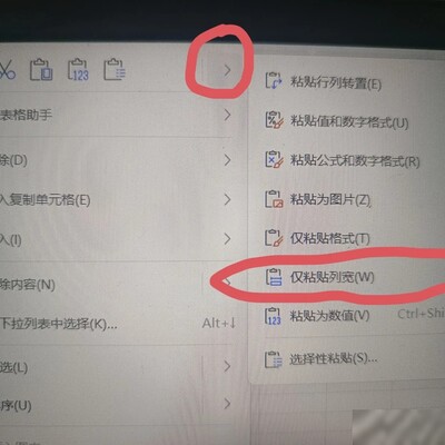 WPS Excel跨表粘贴保持列宽
