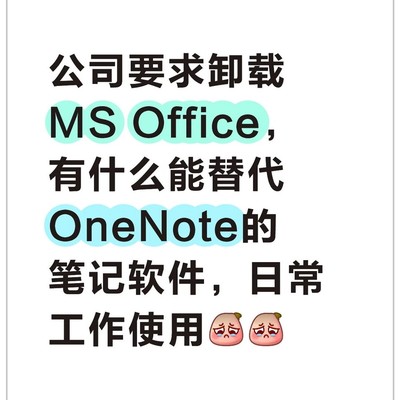 替代OneNote的办公笔记软件