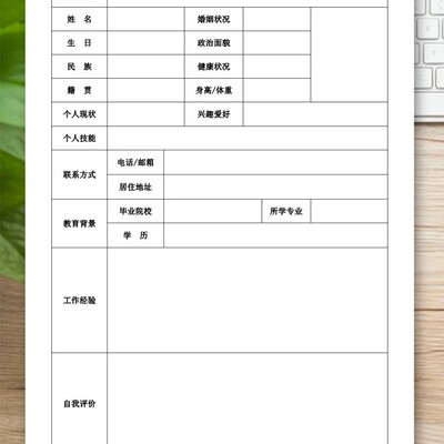 简洁表格简历模板