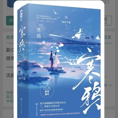 军旅甜宠，铁血与柔情