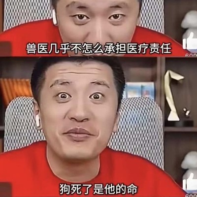 奇葩言论引热议