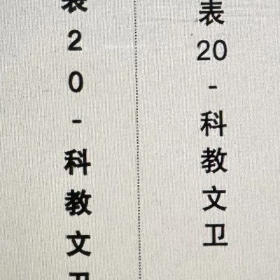 表格数字横排文字竖排