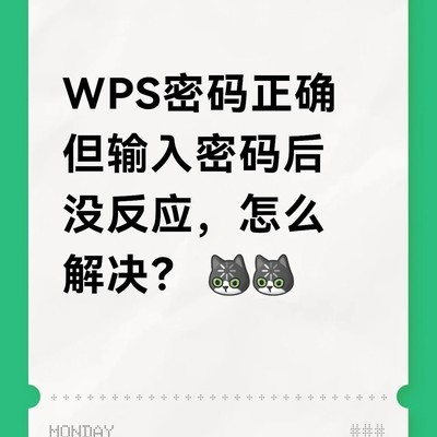 WPS密码输入无反应问题