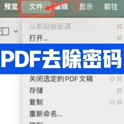 PDF密码移除操作指南