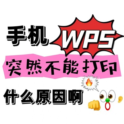 WPS打印问题与替代方案