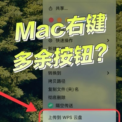 Mac右键WPS服务清理指南