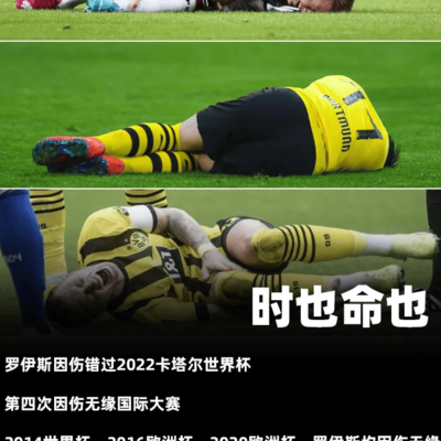 罗伊斯，足球场上的传奇