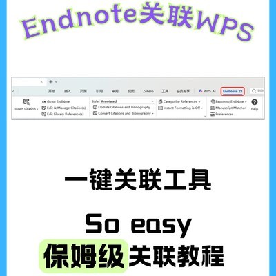 Endnote关联WPS插件工具