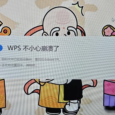 WPS频繁闪退无法解决