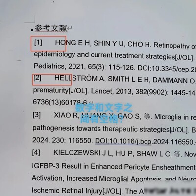 参考文献编号空格问题