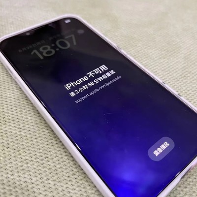 苹果手机面容失效锁机事件