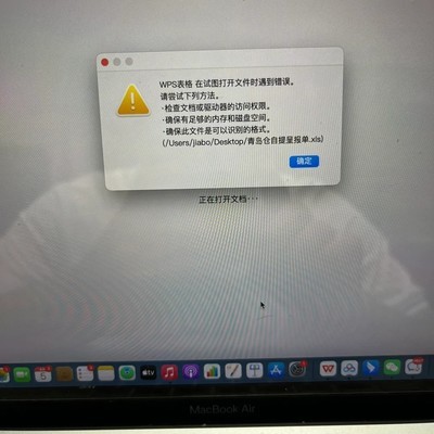 苹果电脑WPS表格显示错误