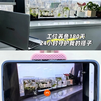 电脑变身小鱼远程监控