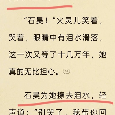 火灵儿与石昊的终章重逢