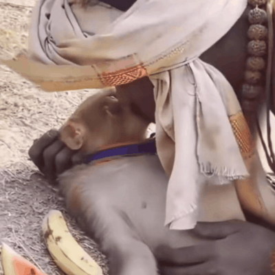 红米R70印度售价更高配置更优