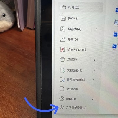 WPS iPad版关闭首字母大写