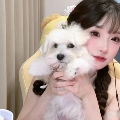 手机变高清美颜摄像头
