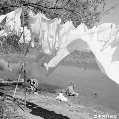 C罗、梅西与姆巴佩，谁更受球迷喜爱？