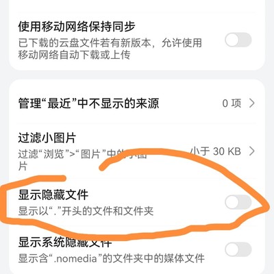 手机WPS下载文件存放路径