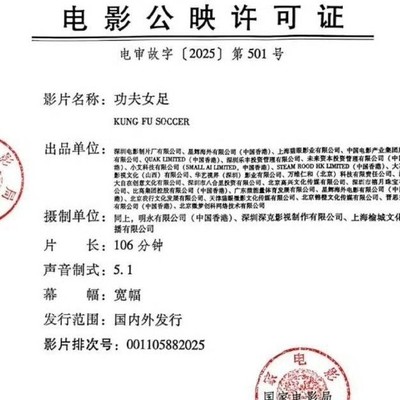 功夫女足，背景揭秘