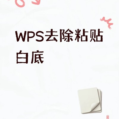 WPS粘贴文字去白底技巧