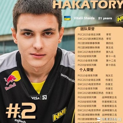 PUBG 2025年度TOP20，NAVI-Hakatory位列第二