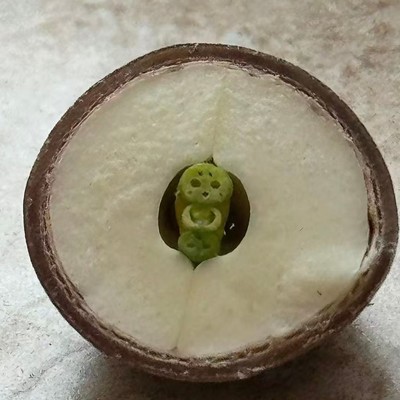 老祖宗取名的智慧